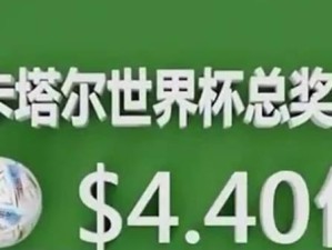 世界杯冠军奖金的演变与影响（历届世界杯冠军奖金分布及其对足球运动的影响）