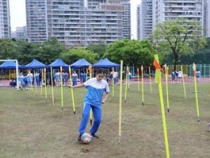 足球考试过杆技巧大揭秘（掌握过杆技巧，轻松通过足球考试）