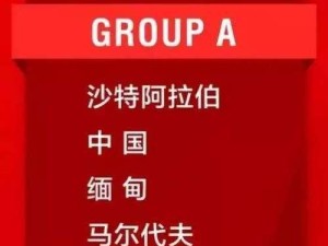 中国世界杯战绩（崇高豪情与坎坷之旅——中国男子足球在世界杯的努力与挑战）