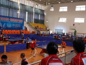 广西乒乓球区运会（承载梦想的乒乓球舞台，见证实力与友谊的竞技盛会）