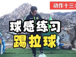 新手比赛踢足球的技巧（掌握基本动作和战术，从新手到足球高手）