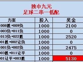 自制足球的技巧与计算方法（以家庭用品打造足球，教你简单又有趣的制作方法）