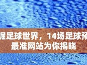 足球14场玩法技巧大全（从入门到精通，掌握足球14场玩法的关键技巧）