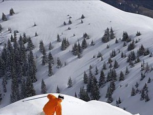 掌握游泳滑雪的技巧大全（让你成为游泳滑雪高手的秘籍）