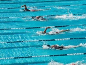 游泳技巧解析（学会这些技巧，让你在自由泳中游得更快！）