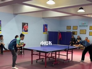 小孩挑战奥运，乒乓球成全新竞技热点（励志少年通过乒乓球走向奥林匹克舞台）