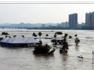 洪水游泳小技巧教学（如何在洪水中游泳安全自救）