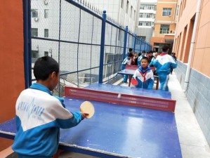 乒乓球大师的秘密武器——学习打乒乓球的人（如何通过学习打乒乓球提高技术水平与身体素质）